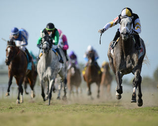 Performance Enhancement in Race Horses