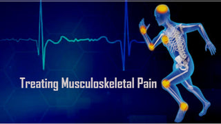 Heel's Guide to Musculoskeletal Complaints & Pain